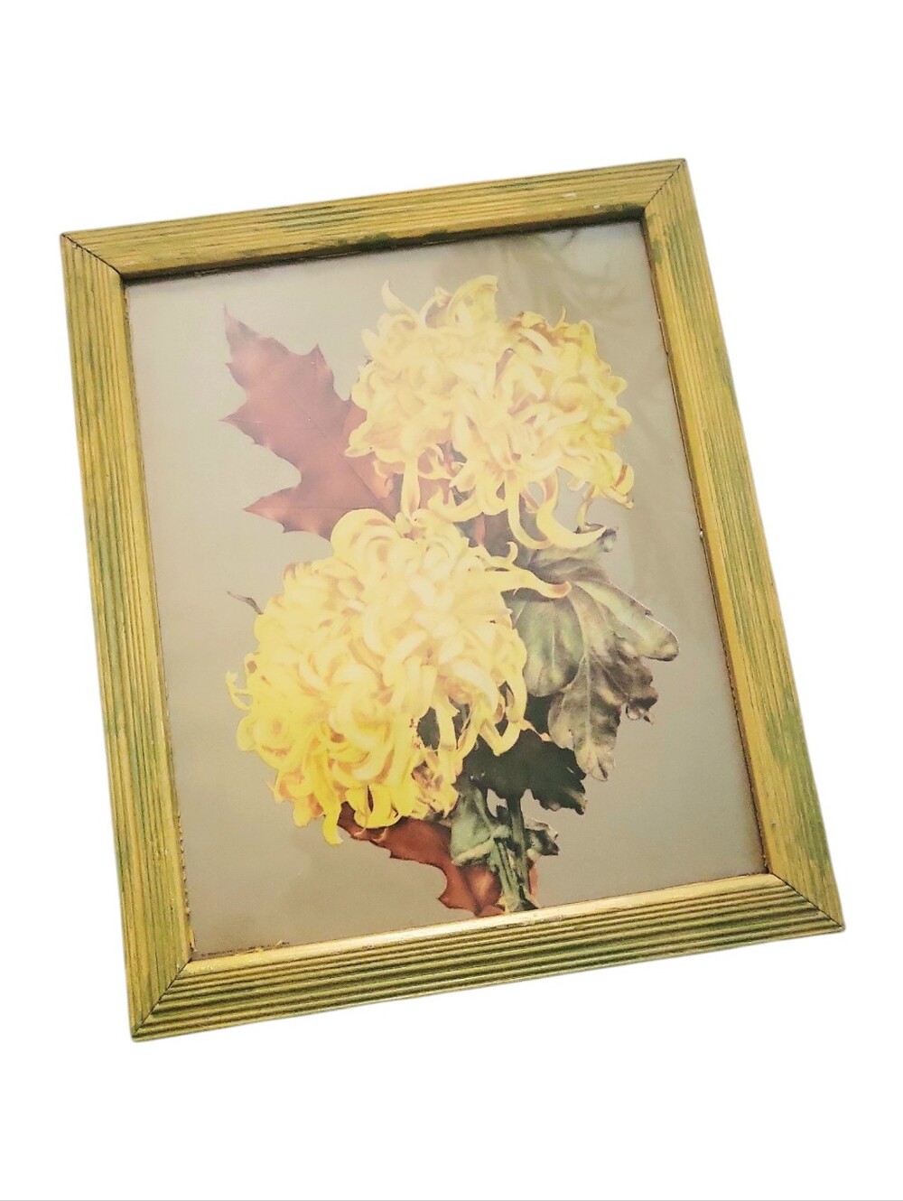 Vintage Mid Century Chrysanthemum & Leaf  YellowcWooden Framed Wall Art